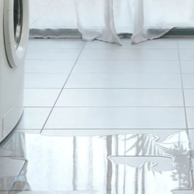 Appliance Leak Cleanup in Holiday Shores, IL