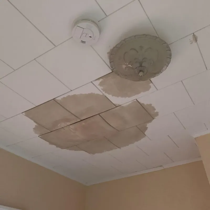 Ceiling Water Damage Repair in Holiday Shores, IL