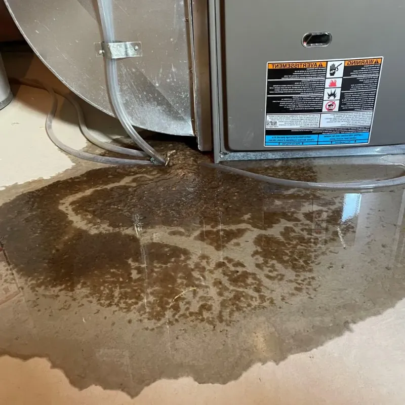 Pipe Burst and Leak Restoration in Holiday Shores, IL