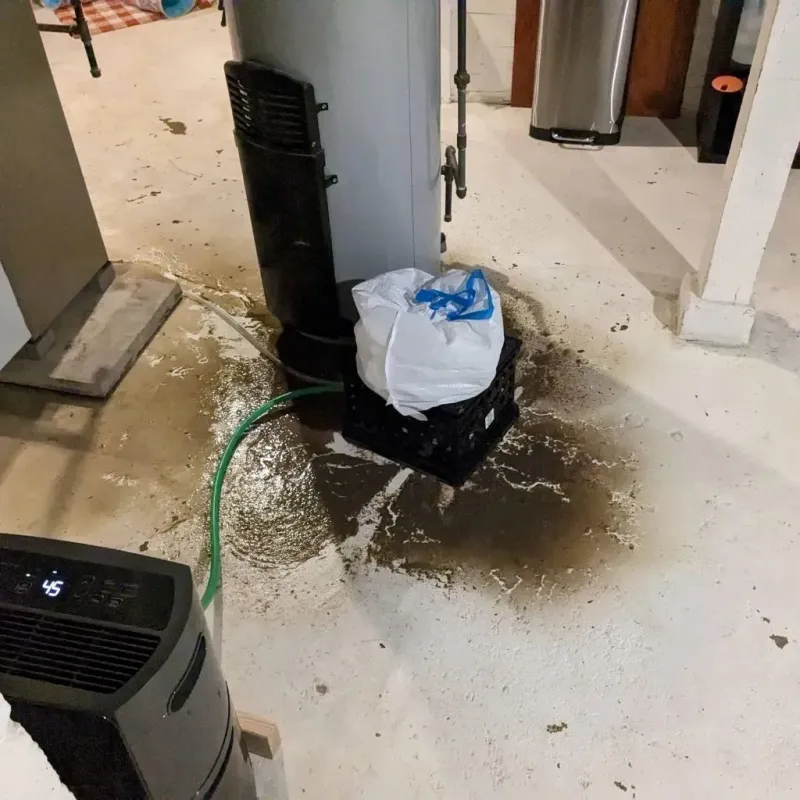 Sewage Backup Cleanup Service in Holiday Shores, IL